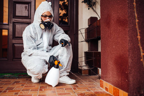 Reliable Ant Control contractor in Bowie, MD by Show Me Pest Control